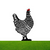 Chickle™? | Het vrolijke kippenontwerp voor uw tuin