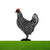 Chickle™️ | Het vrolijke kippenontwerp voor uw tuin