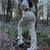 Nicki™ | Verhoog je stijl met deze Trendy Cargo Pants
